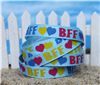 Order  Summer Holiday Ribbon - Best Friends Forever